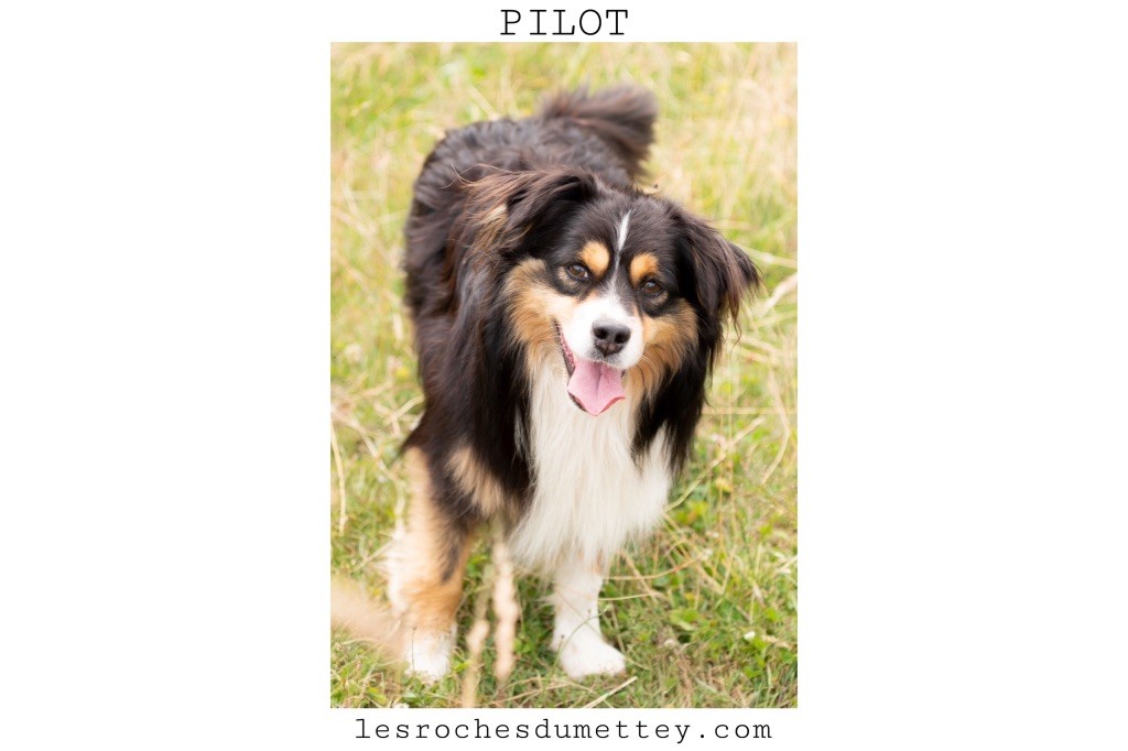 Publication : de la tour de milandre 