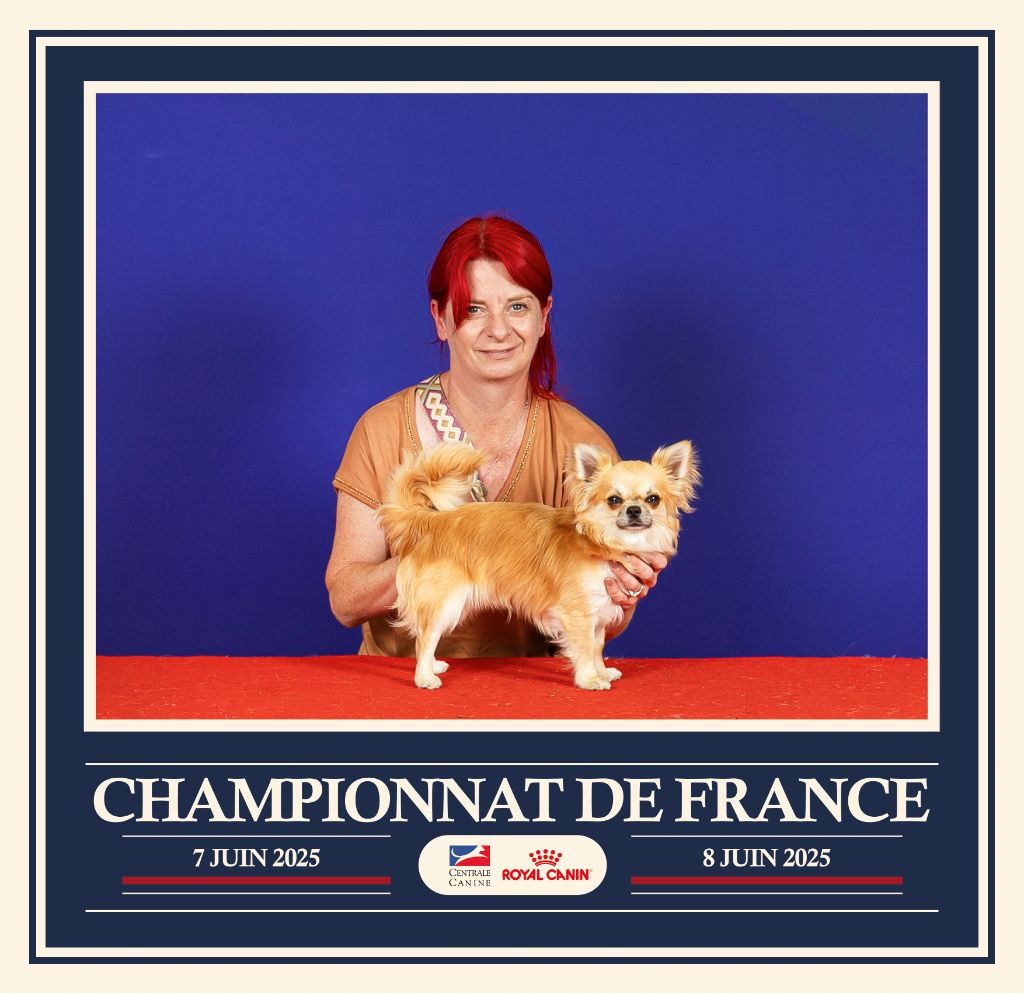 Publication : De La Contrée Des Cyclamens