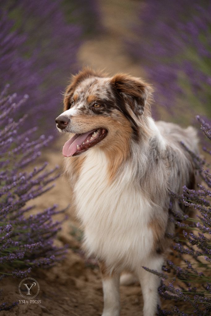 Publication : chloe denoual 