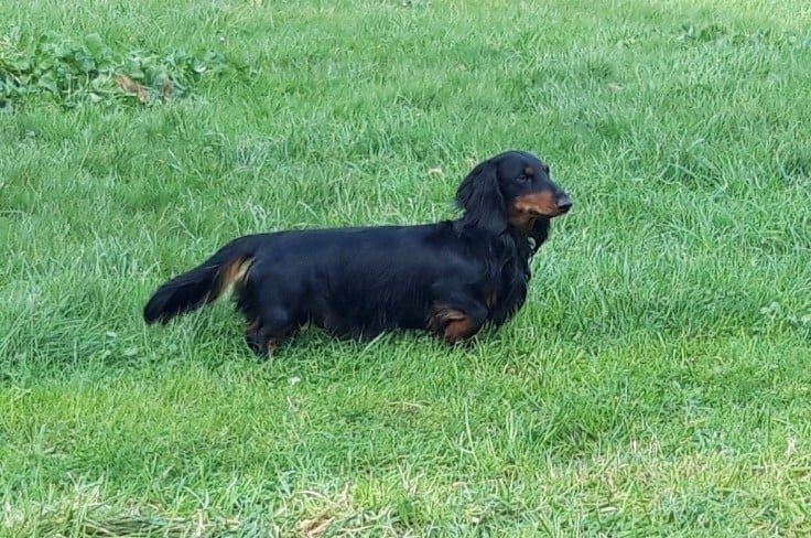 Publication : Des Vents Salés Auteur : anne bakhmeteff