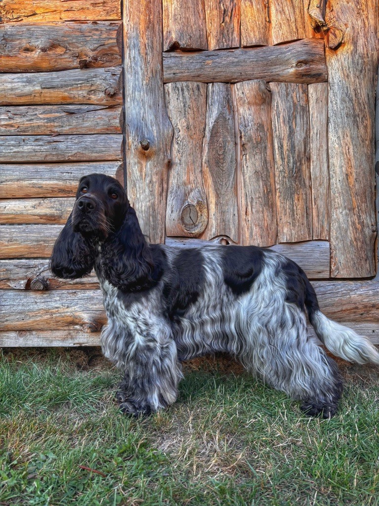 Publication : Des Cimes De Pythagore Auteur : Océane Verbeke