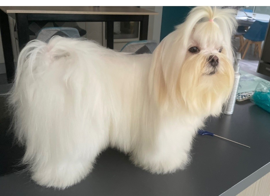 Publication : De La Bichonnerie De La Vallée 