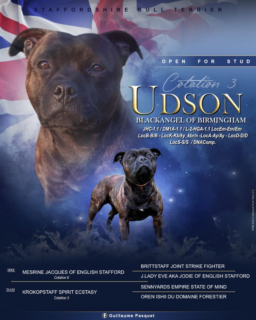 Publication : Blackangel Of Birmingham 