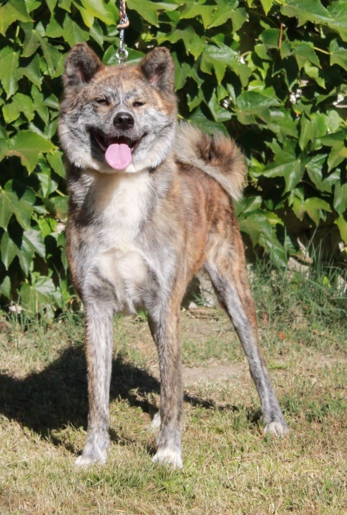 Publication : Des Clos De La Corrèze 