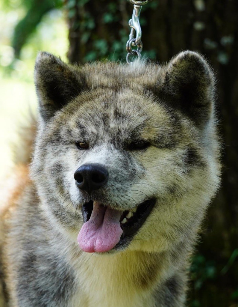 Publication : Des Clos De La Corrèze 