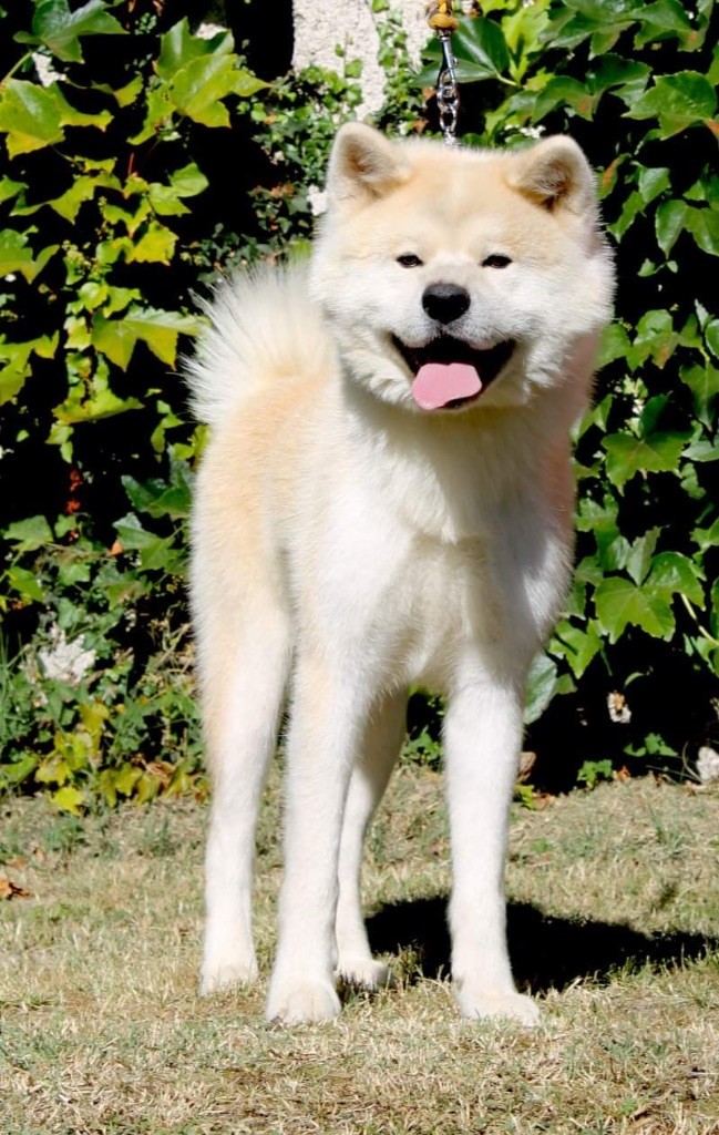 Publication : Des Clos De La Corrèze 