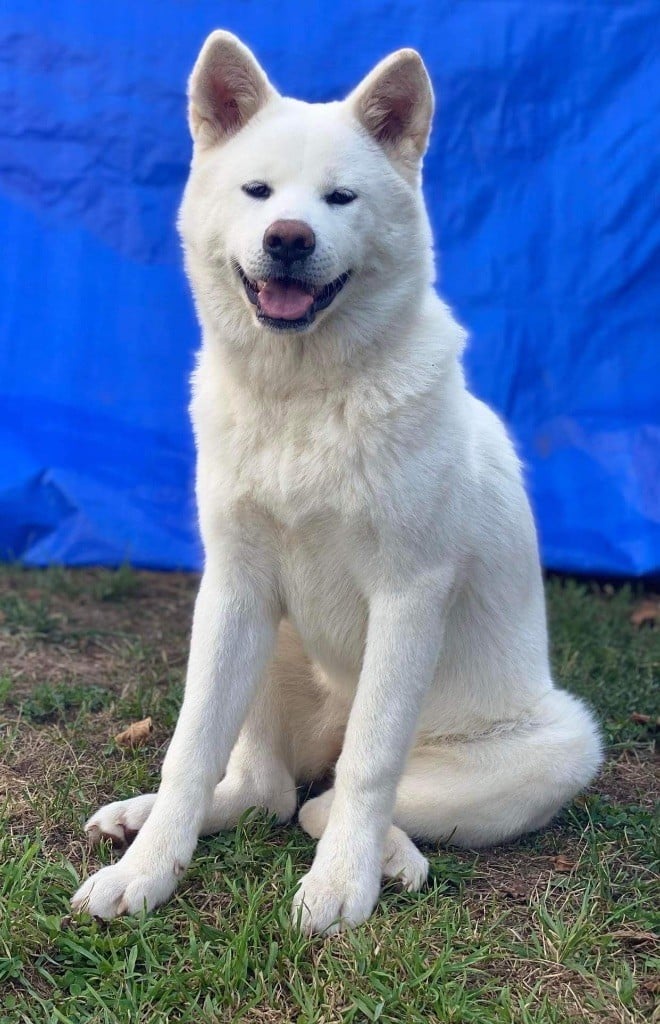 Publication : Des Clos De La Corrèze 