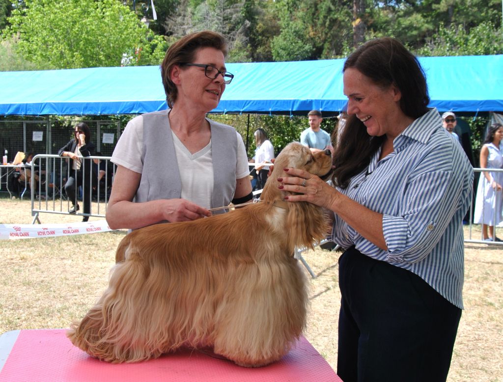 Publication : Du Domaine De Sault Auteur : Michèle Martin