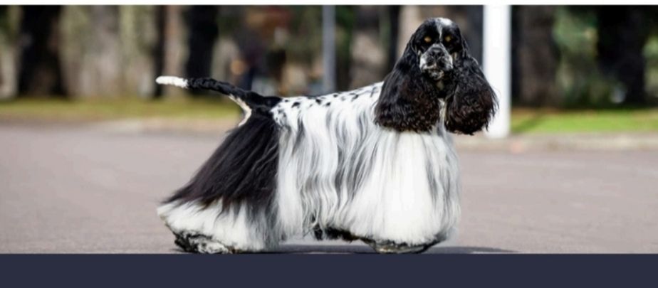 Publication : Du Domaine De Sault 