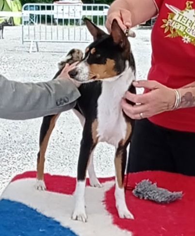 Publication : souviens toi séko 