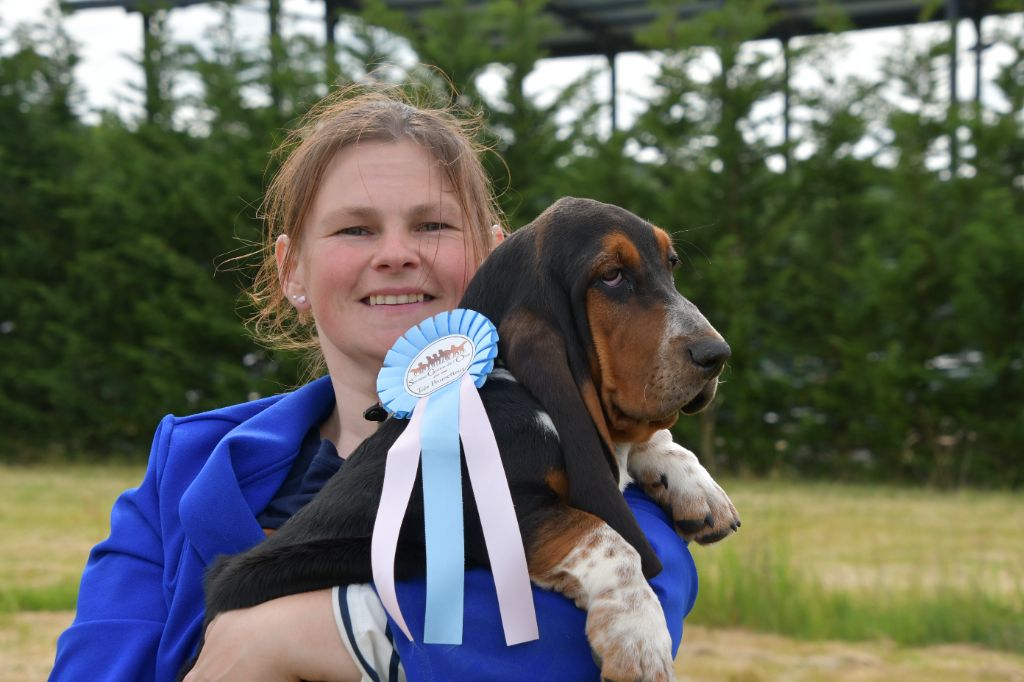 Publication : Des Mille Et Une Roses 