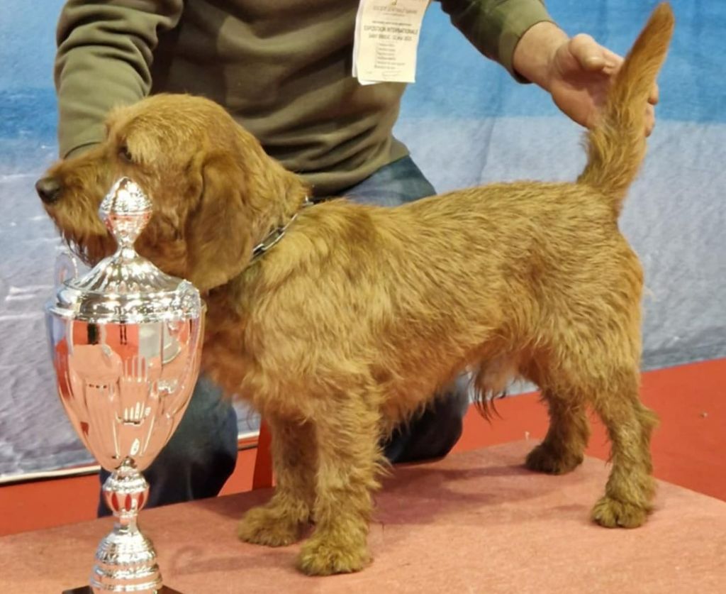 Publication : de vellemont 