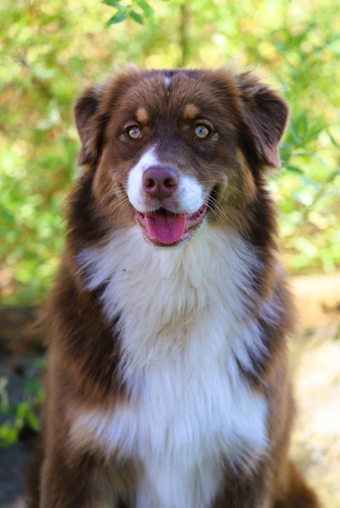 Publication : des Ancêtres Sauvages 