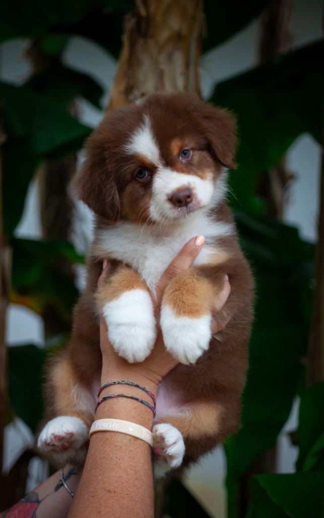 Publication : Dark Secret Garden 