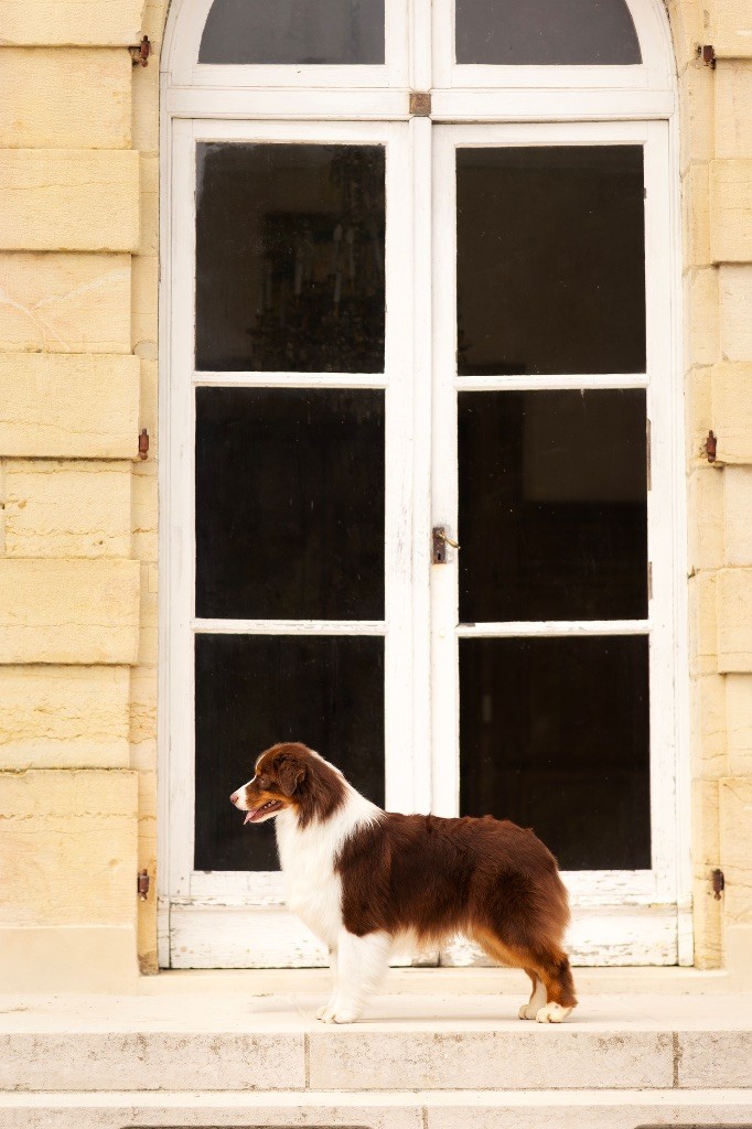 Publication : Di Bellu Soniu 