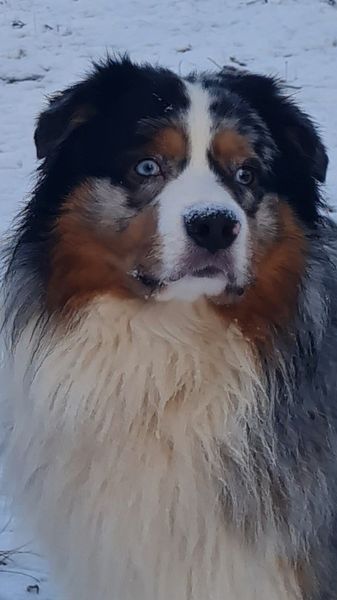 Publication : (Sans Affixe) 