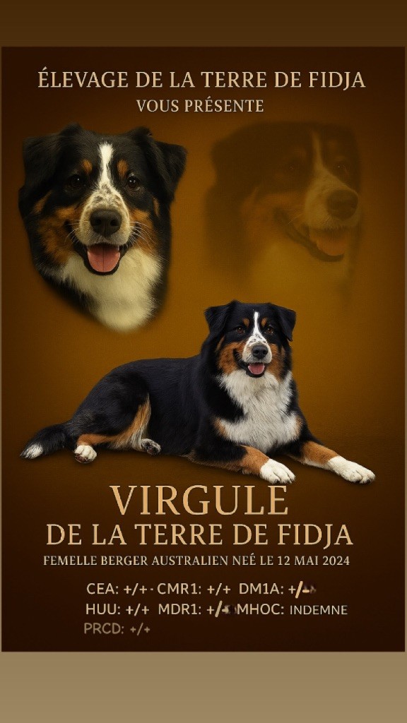 Publication : de la Terre de Fidja 