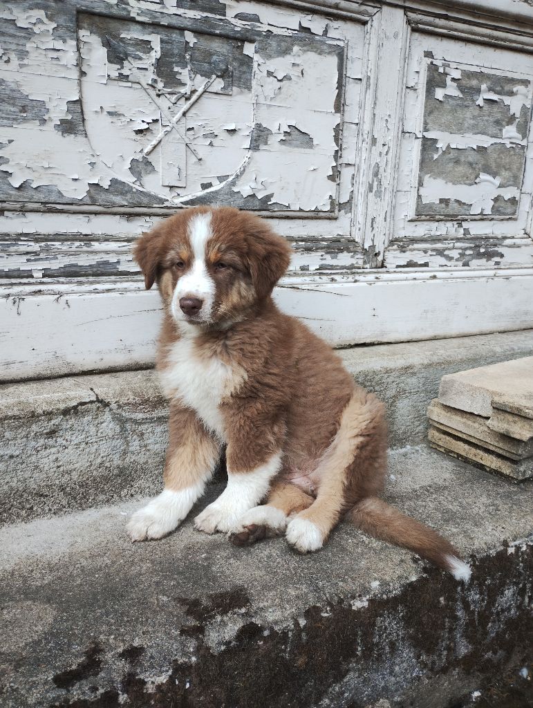 Publication : Au Cloître De Solignac Auteur : PÃ¨re Philippe Marie SeguÃ­