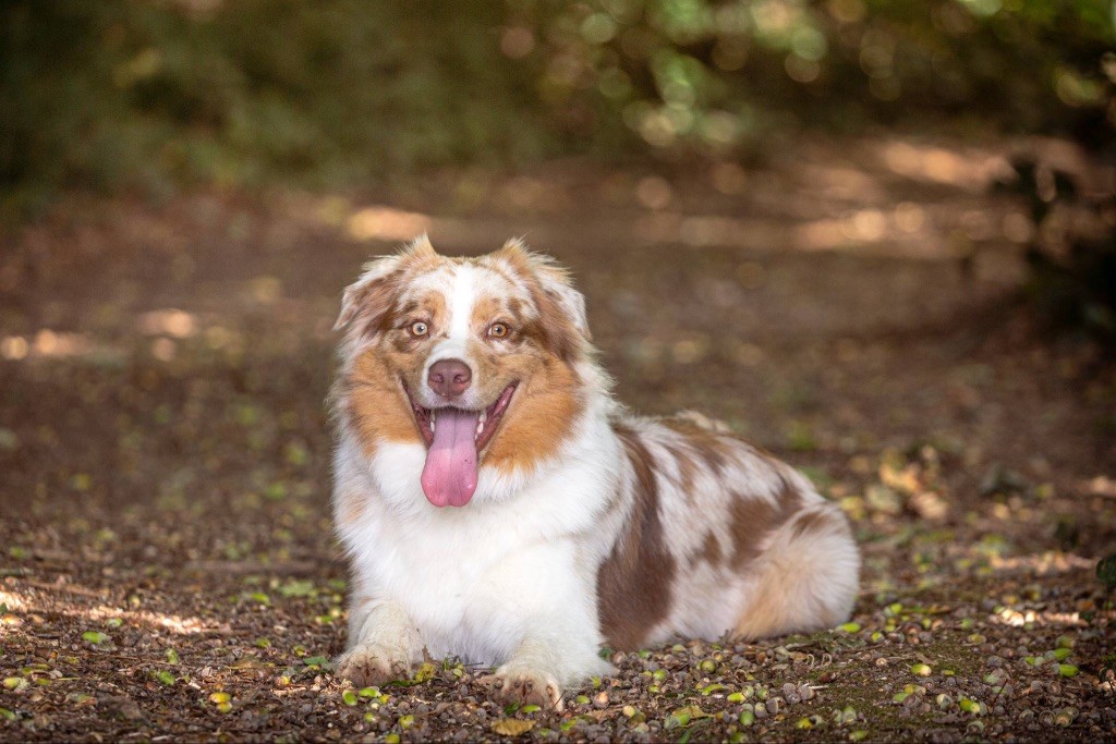 Publication : La Légende D’Onikatan 