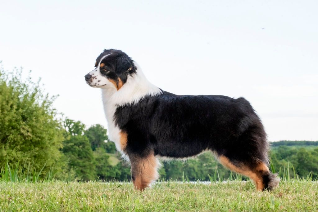 Publication : of go Fast Storm