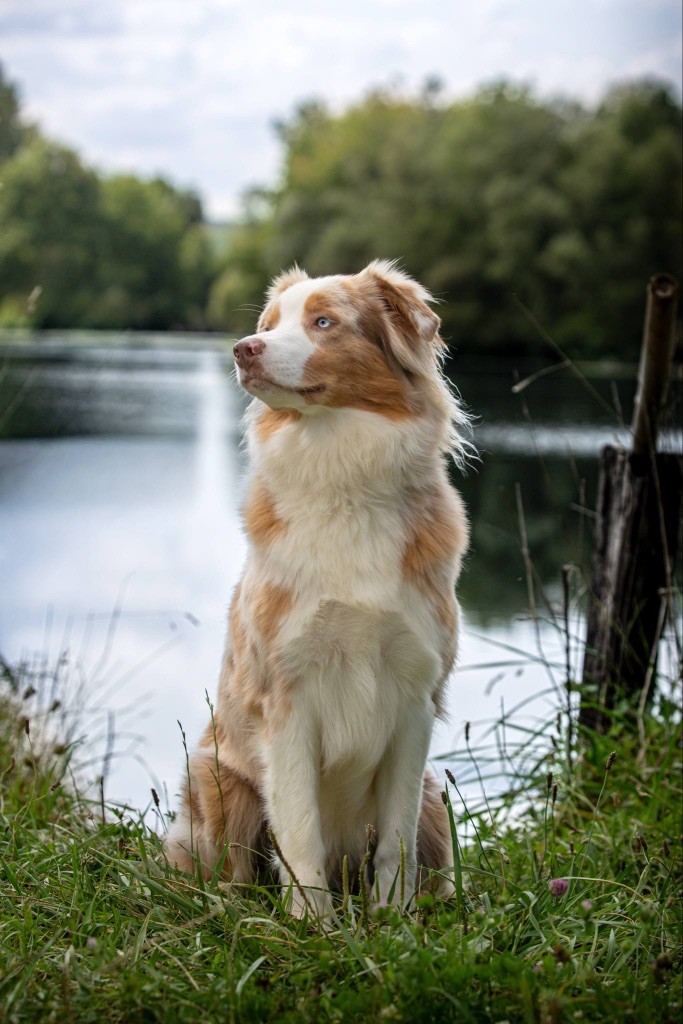 Publication : La Légende D’Onikatan 