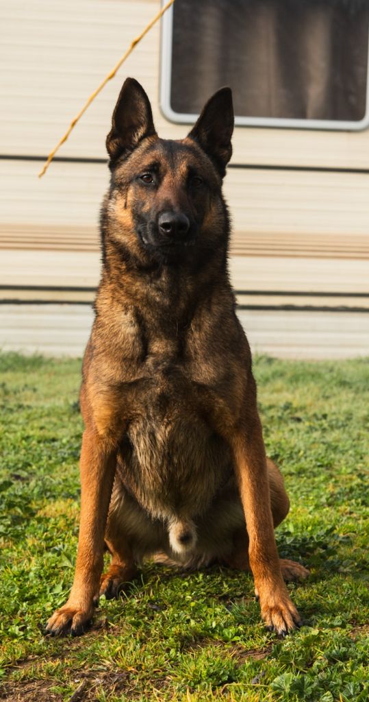 Publication : du vallon des serps 