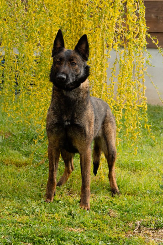 Publication : du vallon des serps 