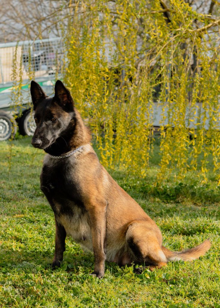 Publication : du vallon des serps 