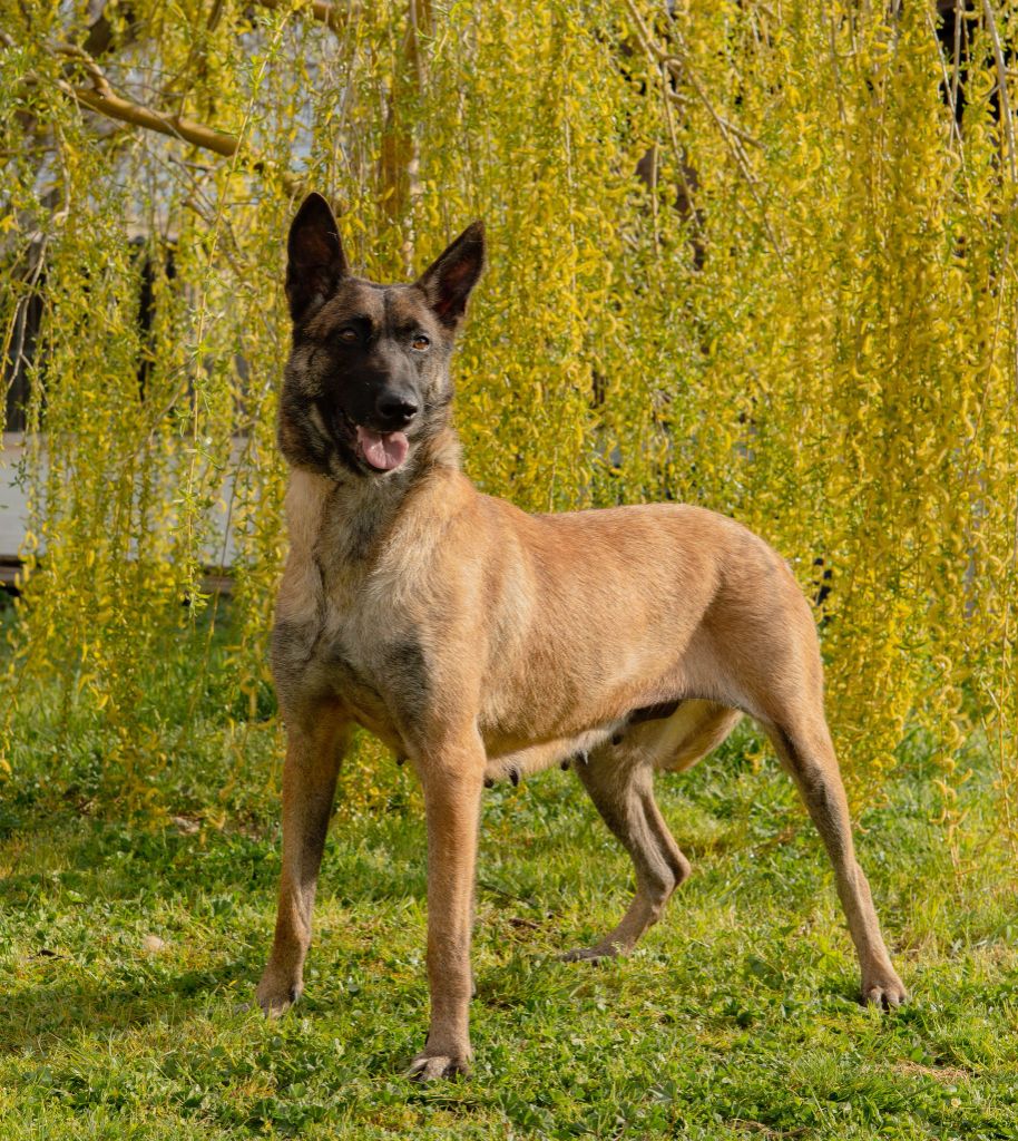 Publication : du vallon des serps 