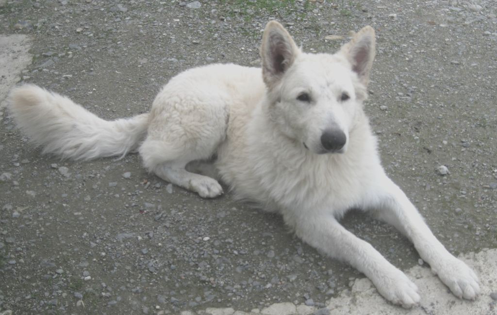 Publication : Du Domaine Des Beautés Divines 