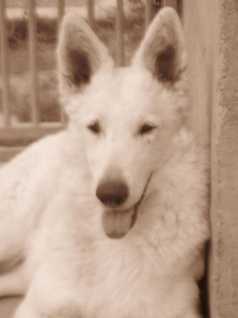 Publication : Du Domaine Des Beautés Divines 