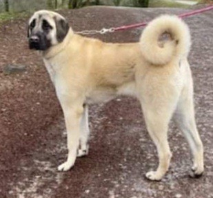 Publication : Des Clos De La Corrèze