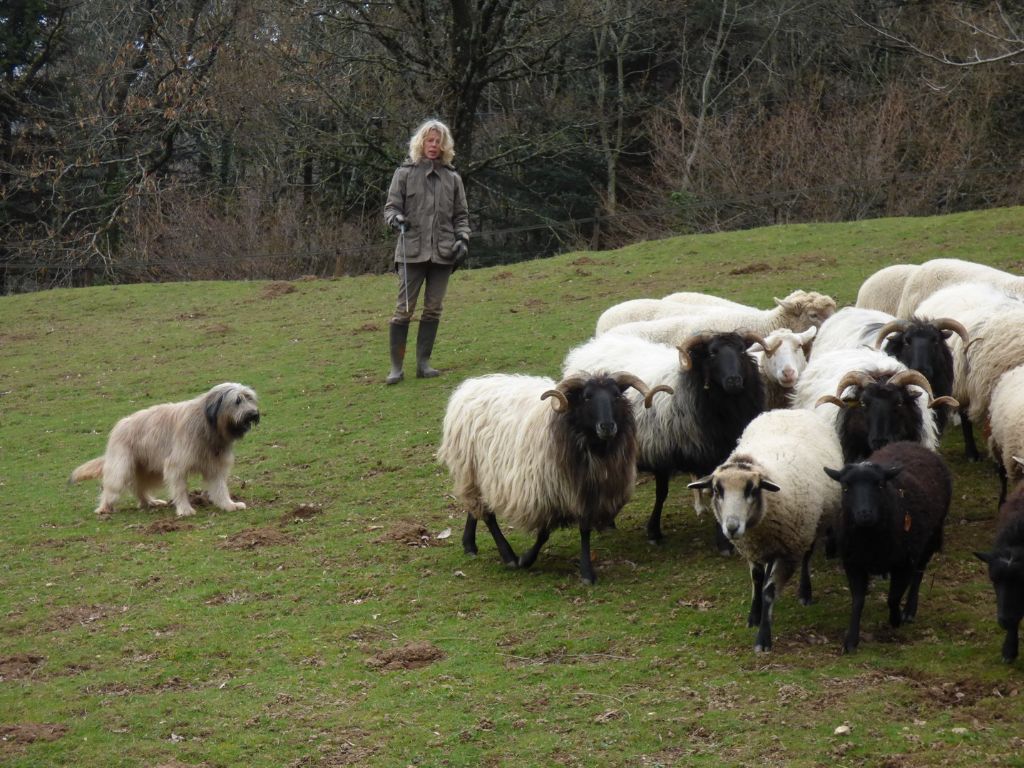 Publication : de lauriol Auteur : Ann Sys