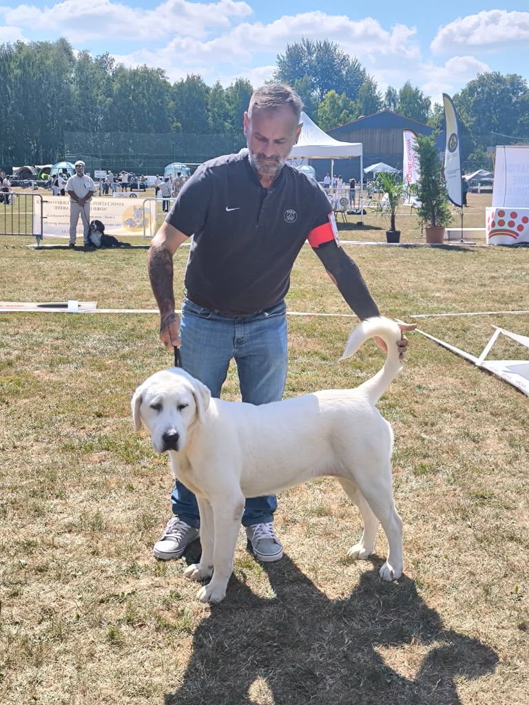 Publication : des Joyaux d'Hades 