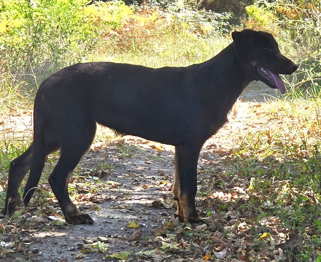 Publication : Du Clos Des Loutres 