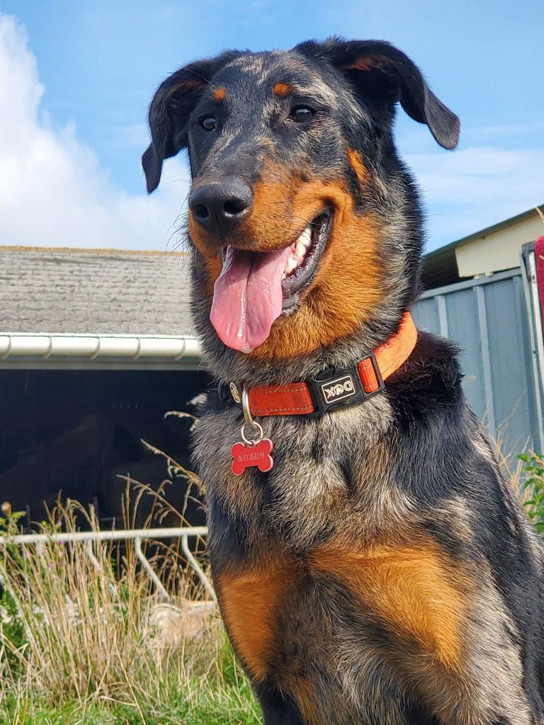 Publication : des fontaines de l'eau salée 