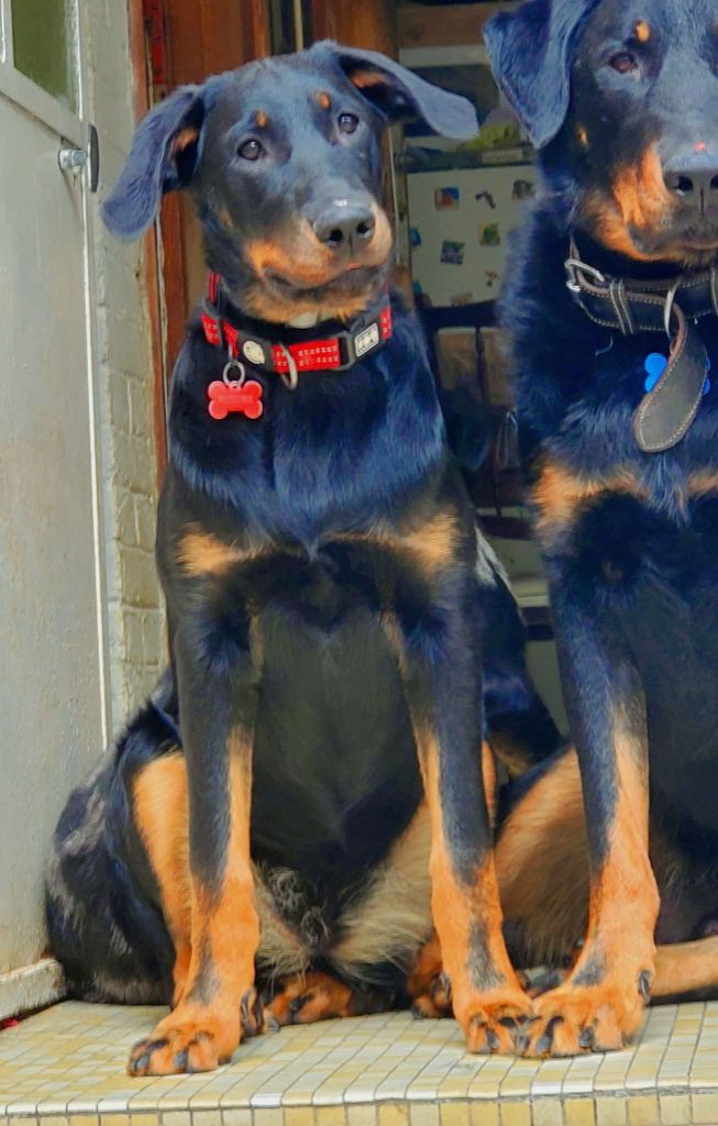 Publication : des fontaines de l'eau salée 