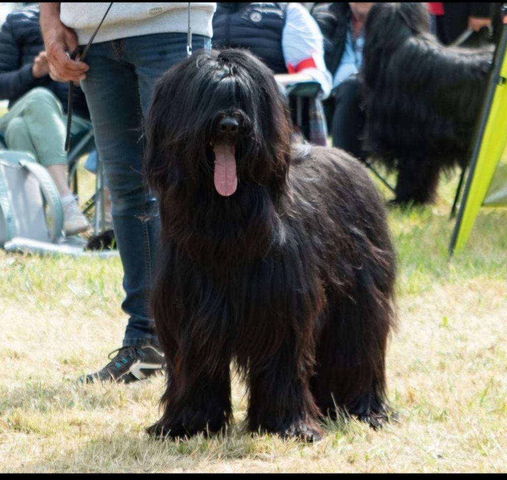 Publication : Du Mas Des Escoulettes 