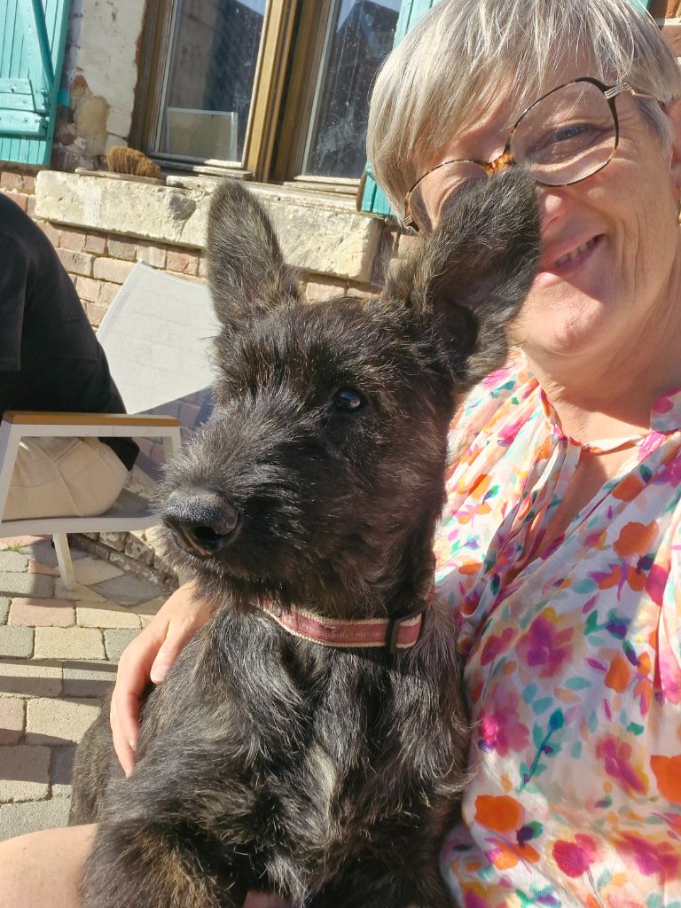 Publication : Pic d’ARLEE 