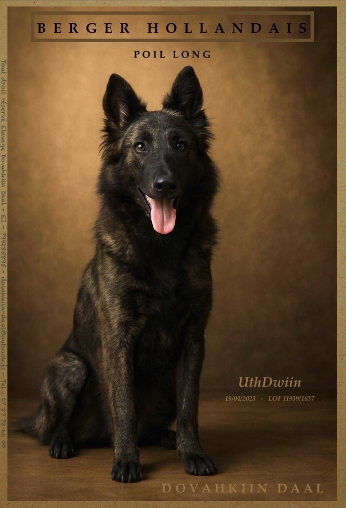 Publication : Dovahkiin Daal 