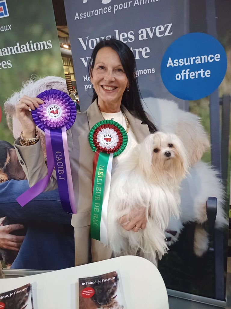 Publication : De L'Ange Précieux