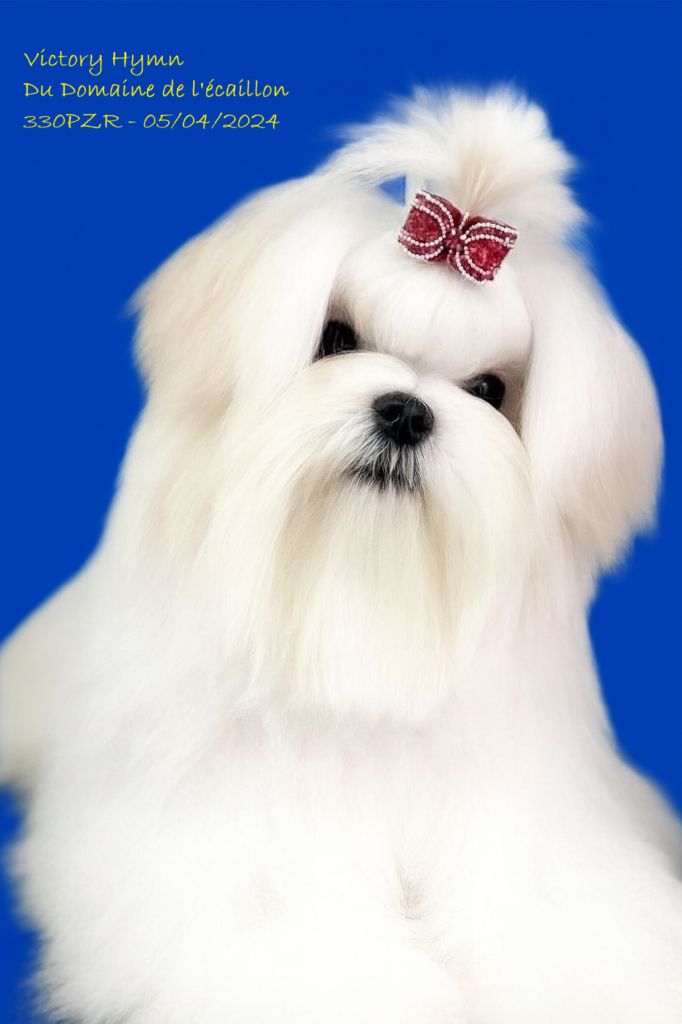 Publication : du Domaine De L'écaillon 