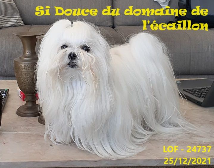 Publication : du Domaine De L'écaillon 