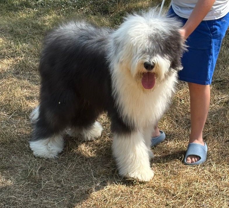 Publication : du puech de mélilot 