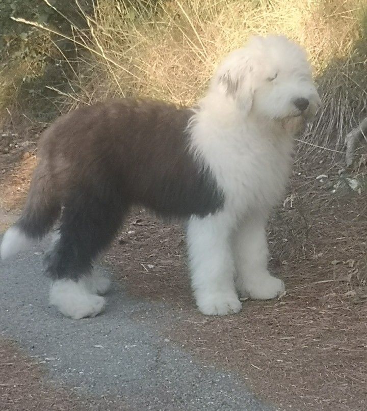 Publication : des Ebouriffés du Mistral