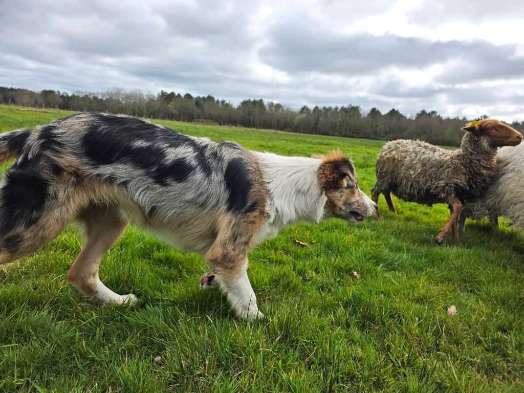 Publication : des Lacs de la Cote d'Argent 
