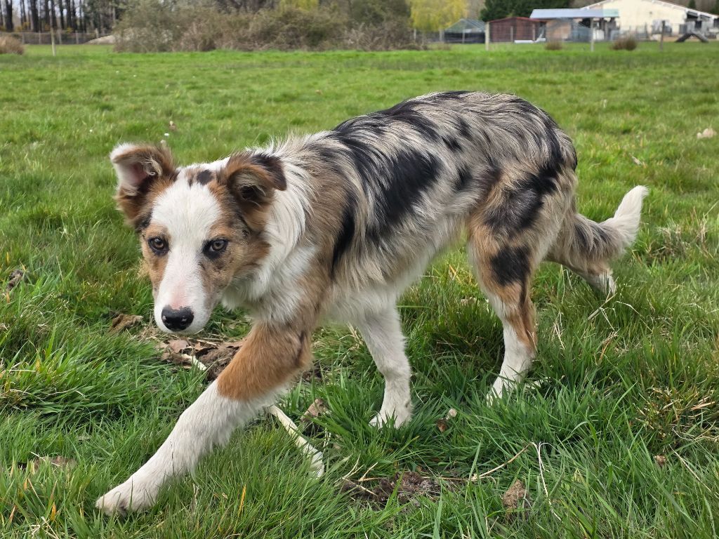 Publication : des Lacs de la Cote d'Argent 