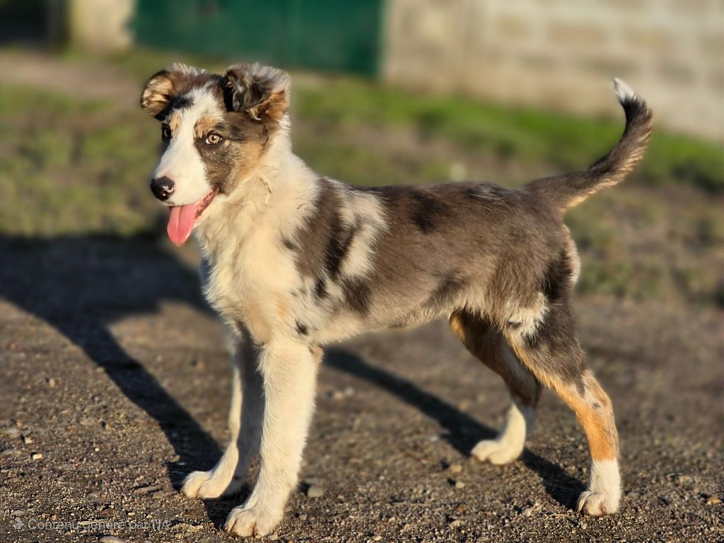 Publication : des Lacs de la Cote d'Argent 