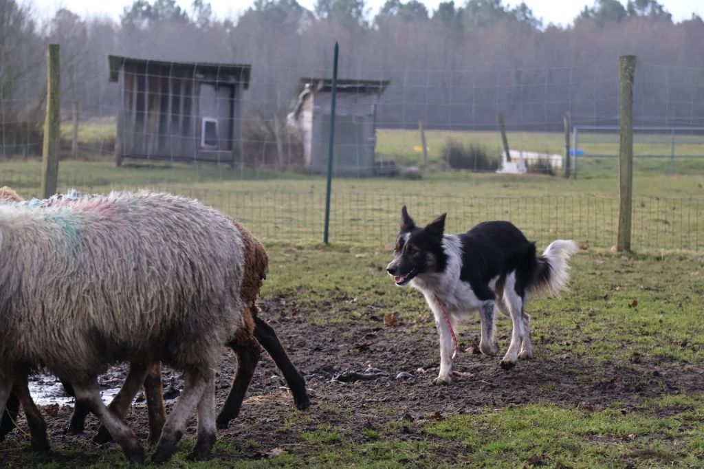 Publication : des Lacs de la Cote d'Argent 