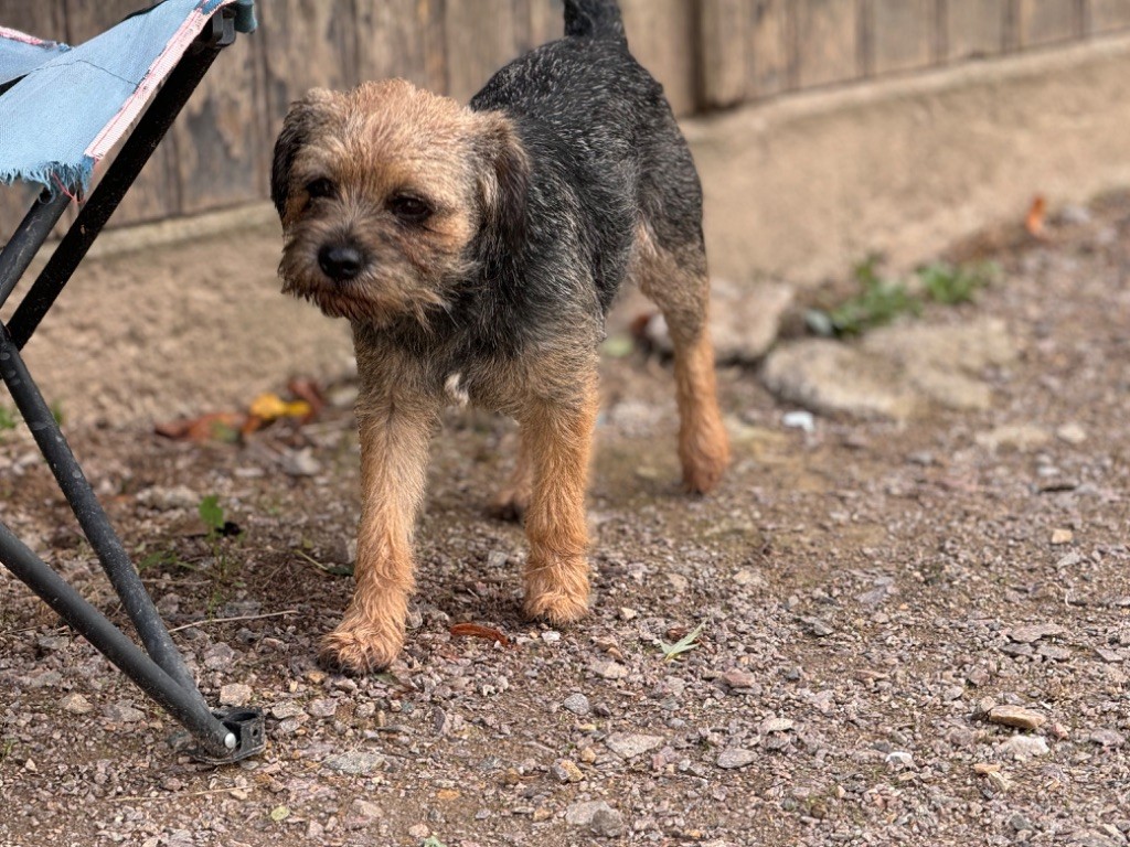 Publication : Des Garennes De Beauregard